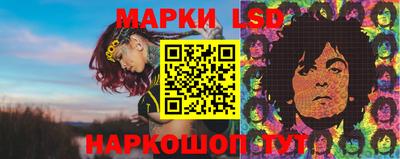 ешки Ставрополь