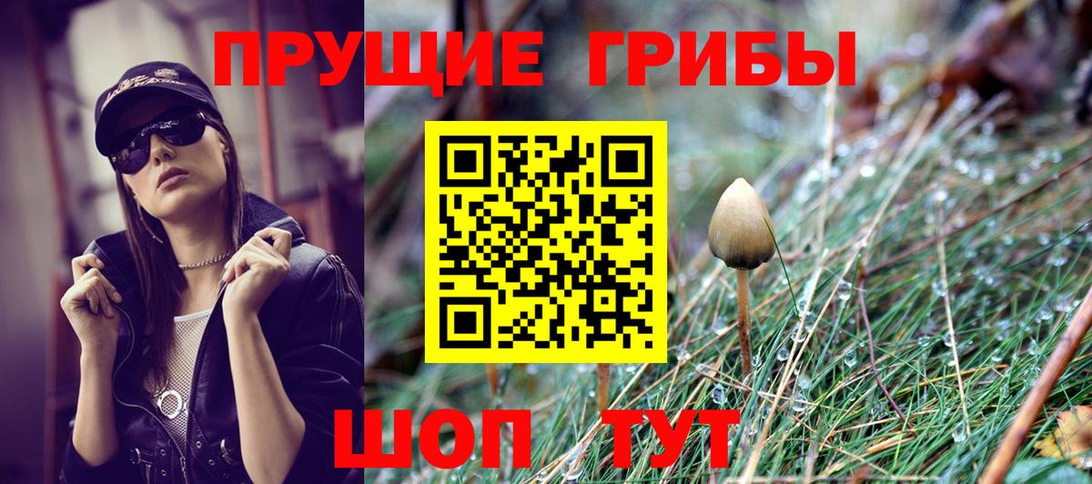 Галлюциногенные грибы MAGIC MUSHROOMS  Вход с VPN  Новоуральск 